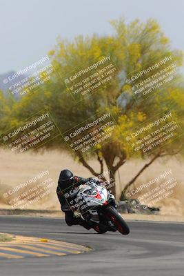 media/Apr-12-2025-Race Pace (Sat) [[9230add55f]]/Vested/6-Turn 4 Tree of Life (115pm)/